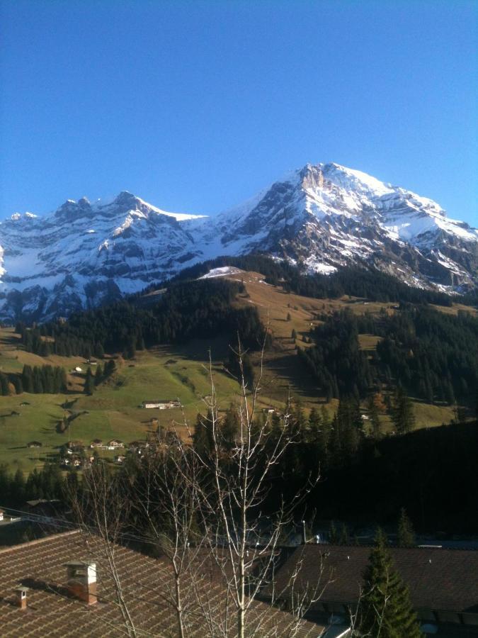 Oeystrasse 10A Leilighet Adelboden Eksteriør bilde